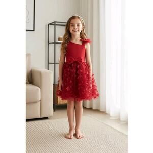 Maroon Tulle Overlay Easter Pagent Church Party Butterfly Dress Size 4T